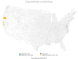 <span class="translation_missing" title="translation missing: ar.medium.untitled.map_image_of, page_name: Capnobotes unodontus Rentz, D. C. F. &amp; Birchim 1968">Map Image Of</span>