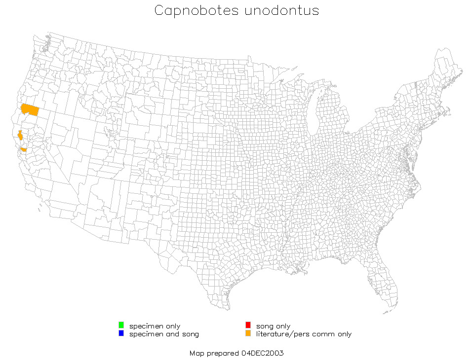 <span class="translation_missing" title="translation missing: fi.medium.untitled.map_image_of, page_name: Capnobotes unodontus Rentz, D. C. F. &amp; Birchim 1968">Map Image Of</span>