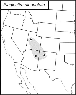 <span class="translation_missing" title="translation missing: en.medium.untitled.map_image_of, page_name: White-marked Shieldback">Map Image Of</span>