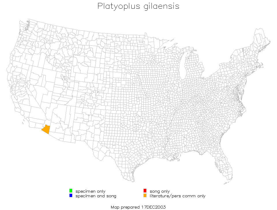 <span class="translation_missing" title="translation missing: pt-BR.medium.untitled.map_image_of, page_name: Platyoplus gilaensis Tinkham 1973">Map Image Of</span>