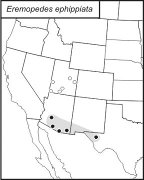 <span class="translation_missing" title="translation missing: pt-BR.medium.untitled.map_image_of, page_name: Eremopedes (Eremopedes) ephippiata (Scudder &amp; S. H. 1899)">Map Image Of</span>