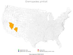 <span class="translation_missing" title="translation missing: en.medium.untitled.map_image_of, page_name: Eremopedes (Oreopedes) pintiati Rentz &amp; D. C. F. 1972">Map Image Of</span>