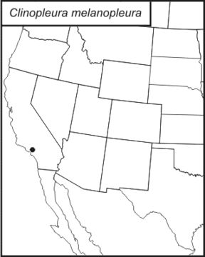 <span class="translation_missing" title="translation missing: pms.medium.untitled.map_image_of, page_name: Clinopleura melanopleura (Scudder &amp; S. H. 1876)">Map Image Of</span>