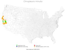 <span class="translation_missing" title="translation missing: en.medium.untitled.map_image_of, page_name: Clinopleura minuta Caudell 1907">Map Image Of</span>