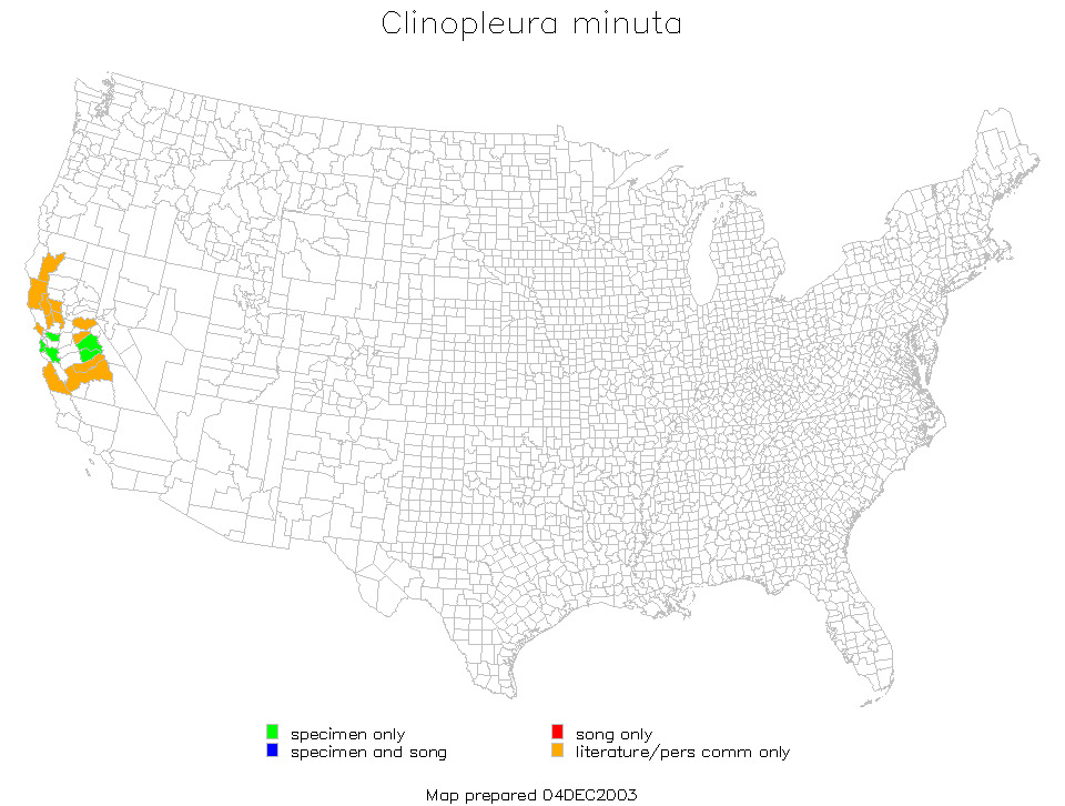 <span class="translation_missing" title="translation missing: en.medium.untitled.map_image_of, page_name: Clinopleura minuta Caudell 1907">Map Image Of</span>