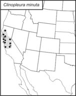 <span class="translation_missing" title="translation missing: en.medium.untitled.map_image_of, page_name: Clinopleura minuta Caudell 1907">Map Image Of</span>