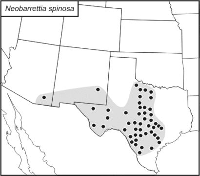 <span class="translation_missing" title="translation missing: fi.medium.untitled.map_image_of, page_name: Neobarrettia">Map Image Of</span>