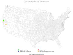 <span class="translation_missing" title="translation missing: en.medium.untitled.map_image_of, page_name: Cyrtophyllicus chlorum Hebard 1908">Map Image Of</span>