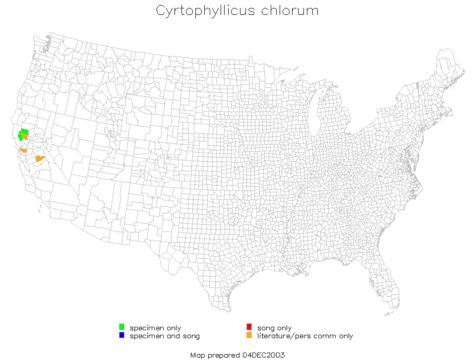 <span class="translation_missing" title="translation missing: en.medium.untitled.map_image_of, page_name: Cyrtophyllicus chlorum Hebard 1908">Map Image Of</span>