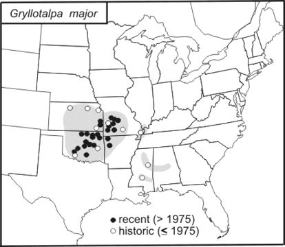 <span class="translation_missing" title="translation missing: en.medium.untitled.map_image_of, page_name: NO NAME!">Map Image Of</span>