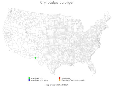 <span class="translation_missing" title="translation missing: zh-TW.medium.untitled.map_image_of, page_name: Gryllotalpa cultriger Uhler 1864">Map Image Of</span>