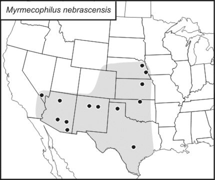 <span class="translation_missing" title="translation missing: ar.medium.untitled.map_image_of, page_name: Myrmecophilus (Myrmecophilus) nebrascensis Lugger 1898">Map Image Of</span>