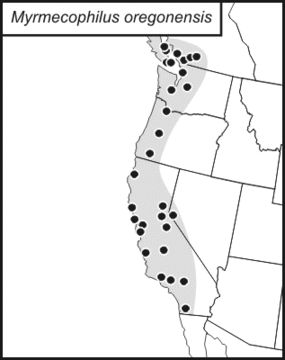 <span class="translation_missing" title="translation missing: fr.medium.untitled.map_image_of, page_name: Myrmecophilus (Myrmecophilus) oregonensis Bruner &amp; L. 1884">Map Image Of</span>