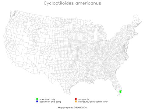 <span class="translation_missing" title="translation missing: pms.medium.untitled.map_image_of, page_name: Cycloptiloides americanus (Saussure 1874)">Map Image Of</span>