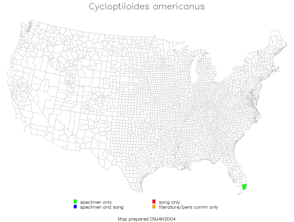 <span class="translation_missing" title="translation missing: fr.medium.untitled.map_image_of, page_name: Cycloptiloides americanus (Saussure 1874)">Map Image Of</span>