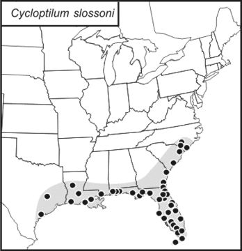 <span class="translation_missing" title="translation missing: pt-BR.medium.untitled.map_image_of, page_name: Cycloptilum slossoni (Scudder &amp; S. H. 1897)">Map Image Of</span>