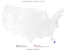 <span class="translation_missing" title="translation missing: pt-BR.medium.untitled.map_image_of, page_name: Cycloptilum albocircum Love &amp; T. J. Walker 1979">Map Image Of</span>