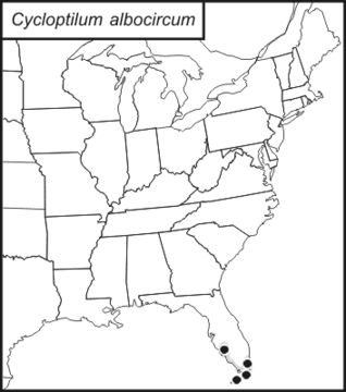 <span class="translation_missing" title="translation missing: en.medium.untitled.map_image_of, page_name: Banded Scaly Cricket">Map Image Of</span>