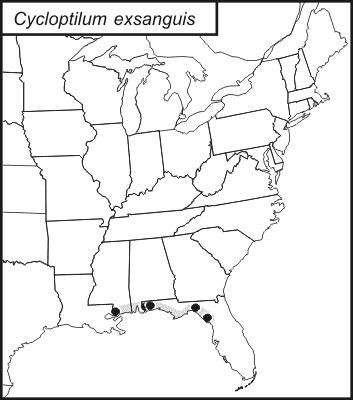 <span class="translation_missing" title="translation missing: en.medium.untitled.map_image_of, page_name: Pale Scaly Cricket">Map Image Of</span>