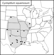 <span class="translation_missing" title="translation missing: en.medium.untitled.map_image_of, page_name: Scudder&#39;s Scaly Cricket">Map Image Of</span>