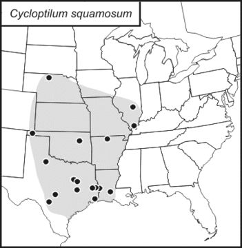 <span class="translation_missing" title="translation missing: en.medium.untitled.map_image_of, page_name: Scudder&#39;s Scaly Cricket">Map Image Of</span>