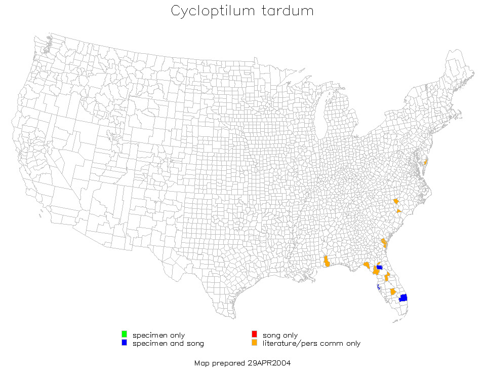 <span class="translation_missing" title="translation missing: pms.medium.untitled.map_image_of, page_name: Cycloptilum tardum Love &amp; T. J. Walker 1979">Map Image Of</span>