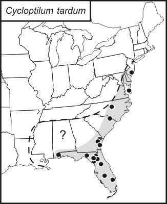 <span class="translation_missing" title="translation missing: pms.medium.untitled.map_image_of, page_name: Cycloptilum tardum Love &amp; T. J. Walker 1979">Map Image Of</span>