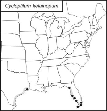 <span class="translation_missing" title="translation missing: en.medium.untitled.map_image_of, page_name: Black-faced Scaly Cricket">Map Image Of</span>