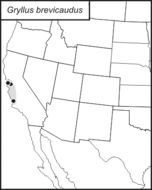 <span class="translation_missing" title="translation missing: pt-BR.medium.untitled.map_image_of, page_name: Gryllus (Gryllus) brevicaudus Weissman, D. C. F. Rentz, R. D. Alexander &amp; Loher 1980">Map Image Of</span>