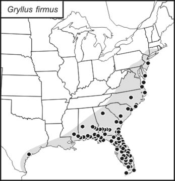 <span class="translation_missing" title="translation missing: en.medium.untitled.map_image_of, page_name: Sand Field Cricket">Map Image Of</span>