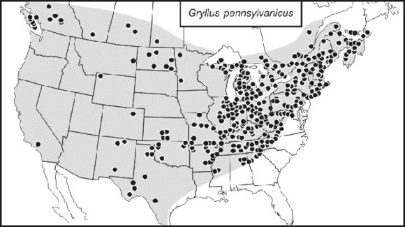 <span class="translation_missing" title="translation missing: en.medium.untitled.map_image_of, page_name: true crickets">Map Image Of</span>