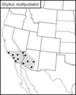 <span class="translation_missing" title="translation missing: ar.medium.untitled.map_image_of, page_name: Gryllus (Gryllus) multipulsator Weissman 2009">Map Image Of</span>