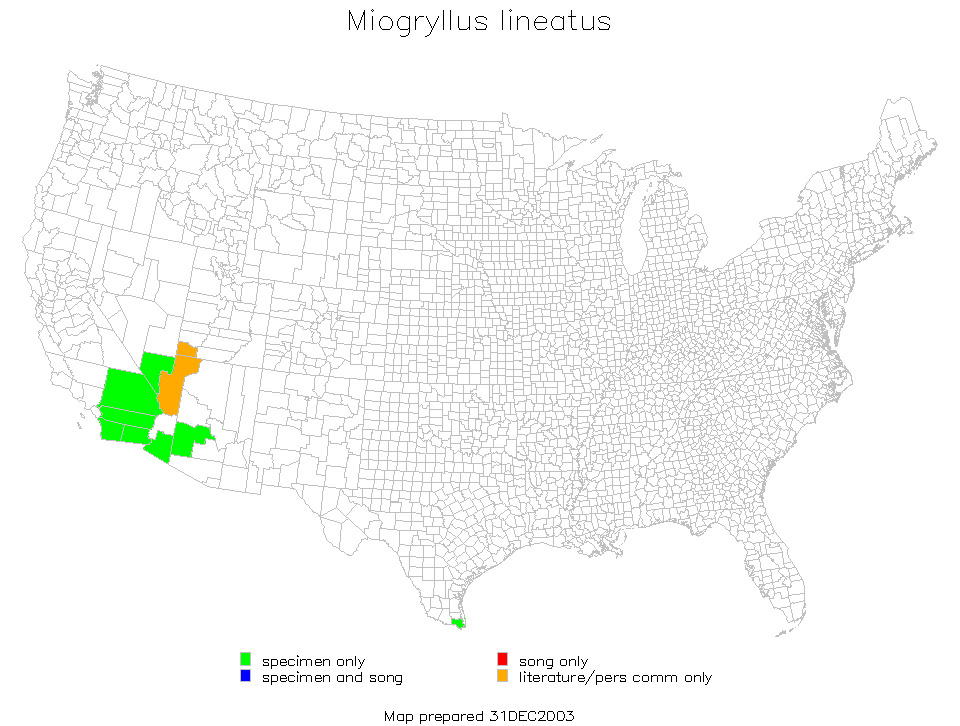 <span class="translation_missing" title="translation missing: ar.medium.untitled.map_image_of, page_name: Miogryllus lineatus (Scudder &amp; S. H. 1876)">Map Image Of</span>