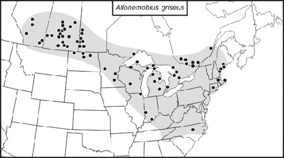 <span class="translation_missing" title="translation missing: pms.medium.untitled.map_image_of, page_name: Nemobiinae">Map Image Of</span>