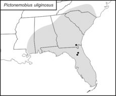 <span class="translation_missing" title="translation missing: mk.medium.untitled.map_image_of, page_name: Pictonemobius uliginosus Mays &amp; Gross 1990">Map Image Of</span>