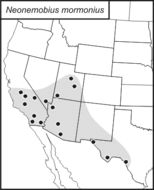 <span class="translation_missing" title="translation missing: pt-BR.medium.untitled.map_image_of, page_name: Neonemobius mormonius (Scudder &amp; S. H. 1896)">Map Image Of</span>