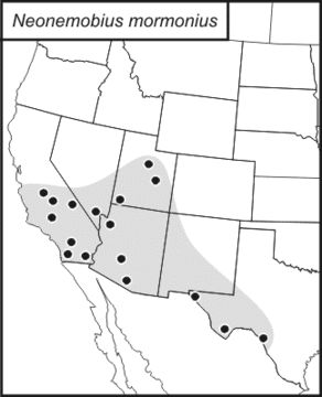 <span class="translation_missing" title="translation missing: en.medium.untitled.map_image_of, page_name: Mormon Ground Cricket">Map Image Of</span>