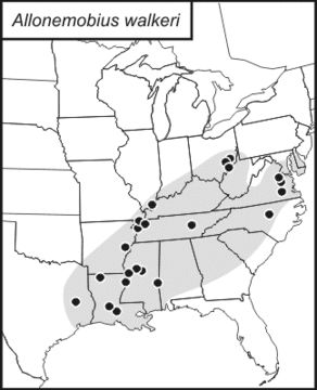 <span class="translation_missing" title="translation missing: pms.medium.untitled.map_image_of, page_name: Allonemobius walkeri Howard, D. J. &amp; Furth 1986">Map Image Of</span>