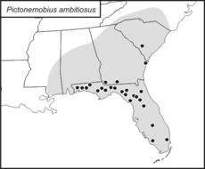 <span class="translation_missing" title="translation missing: tr.medium.untitled.map_image_of, page_name: Pictonemobius ambitiosus (Scudder &amp; S. H. 1878)">Map Image Of</span>