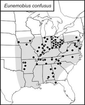 <span class="translation_missing" title="translation missing: tr.medium.untitled.map_image_of, page_name: Eunemobius confusus (Blatchley 1903)">Map Image Of</span>