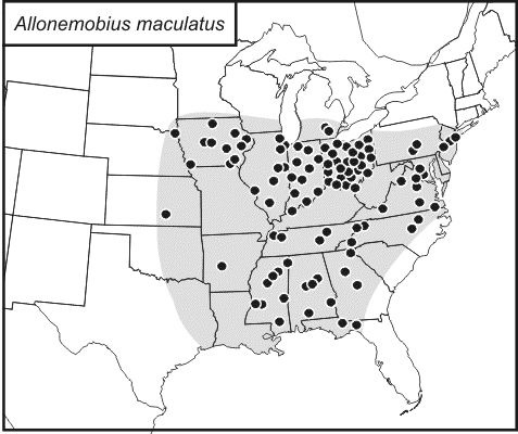 <span class="translation_missing" title="translation missing: tr.medium.untitled.map_image_of, page_name: Allonemobius maculatus (Blatchley 1900)">Map Image Of</span>