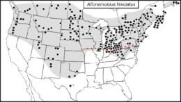 <span class="translation_missing" title="translation missing: tr.medium.untitled.map_image_of, page_name: Allonemobius fasciatus (De Geer 1773)">Map Image Of</span>