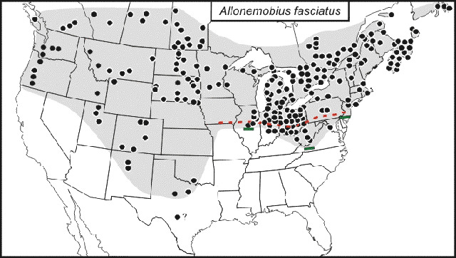 <span class="translation_missing" title="translation missing: tr.medium.untitled.map_image_of, page_name: Allonemobius fasciatus (De Geer 1773)">Map Image Of</span>