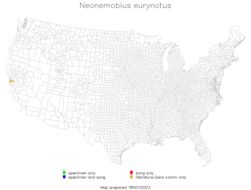 <span class="translation_missing" title="translation missing: ar.medium.untitled.map_image_of, page_name: Neonemobius eurynotus (Rehn, J. A. G. &amp; Hebard 1918)">Map Image Of</span>