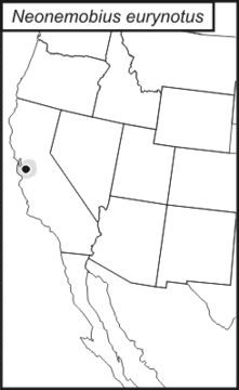 <span class="translation_missing" title="translation missing: pt-BR.medium.untitled.map_image_of, page_name: Neonemobius eurynotus (Rehn, J. A. G. &amp; Hebard 1918)">Map Image Of</span>