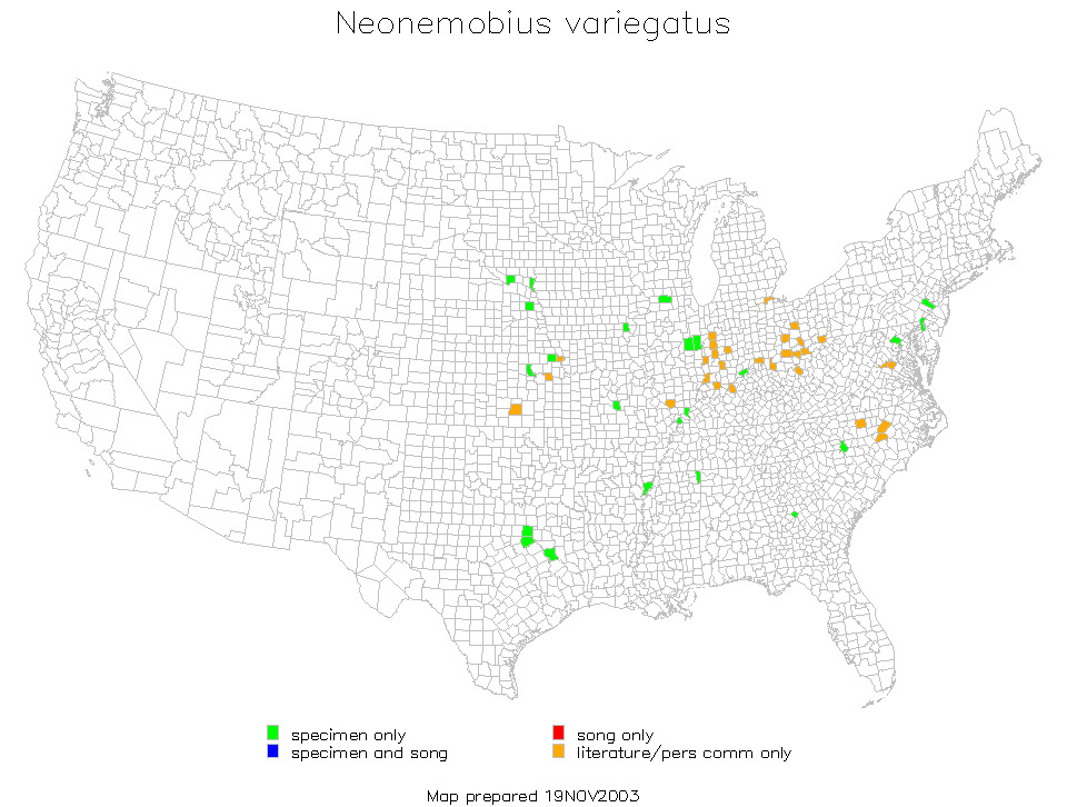 <span class="translation_missing" title="translation missing: ar.medium.untitled.map_image_of, page_name: Neonemobius variegatus (Bruner &amp; L. 1893)">Map Image Of</span>