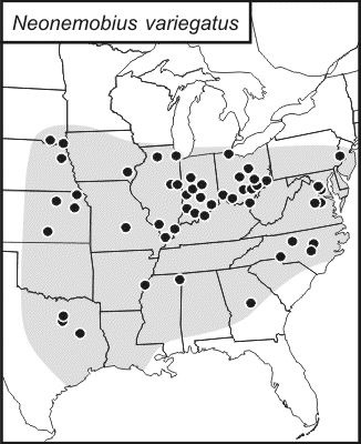 <span class="translation_missing" title="translation missing: pt-BR.medium.untitled.map_image_of, page_name: Neonemobius variegatus (Bruner &amp; L. 1893)">Map Image Of</span>