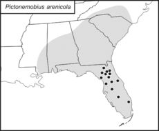 <span class="translation_missing" title="translation missing: pt-BR.medium.untitled.map_image_of, page_name: Pictonemobius arenicola Mays &amp; Gross 1990">Map Image Of</span>