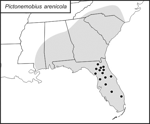 <span class="translation_missing" title="translation missing: fr.medium.untitled.map_image_of, page_name: Pictonemobius arenicola Mays &amp; Gross 1990">Map Image Of</span>