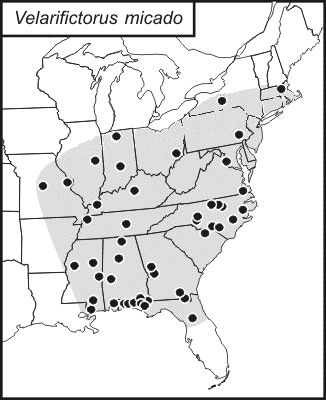 <span class="translation_missing" title="translation missing: en.medium.untitled.map_image_of, page_name: Japanese Burrowing Cricket">Map Image Of</span>